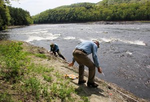 Astragalus restoration on Conn. River