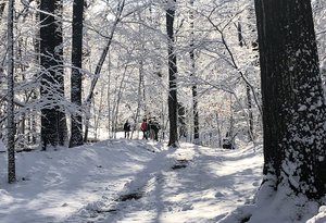 GITW_Winter.Websize.jpg