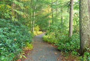 Garden in the Woods path-UliLorimer