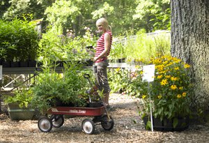 Plant Sales_Gary Sloan.jpg
